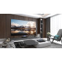 ტელევიზორები Hisense 100L5F-D12