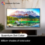 ტელევიზორები Hisense 55U7NQ
